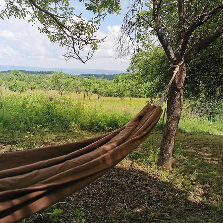 Villa Little Dreamcatcher In Vadu Crisului Tomnatic Bihor Apuseni