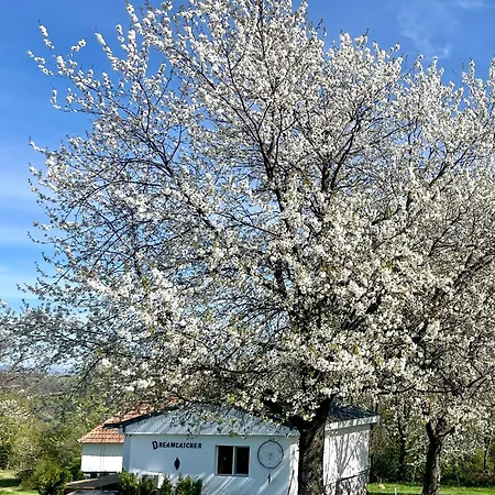 Villa Little Dreamcatcher In Vadu Crisului Tomnatic Bihor Apuseni *