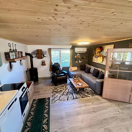 Villa Little Dreamcatcher In Vadu Crisului Tomnatic Bihor Apuseni